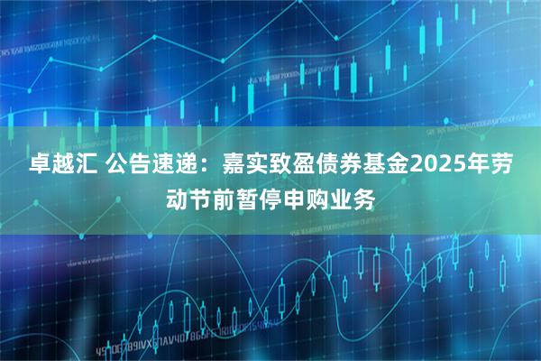 卓越汇 公告速递：嘉实致盈债券基金2025年劳动节前暂停申购业务