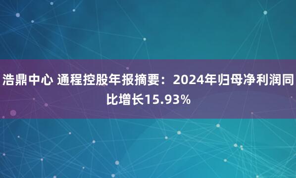 浩鼎中心 通程控股年报摘要：2024年归母净利润同比增长15.93%